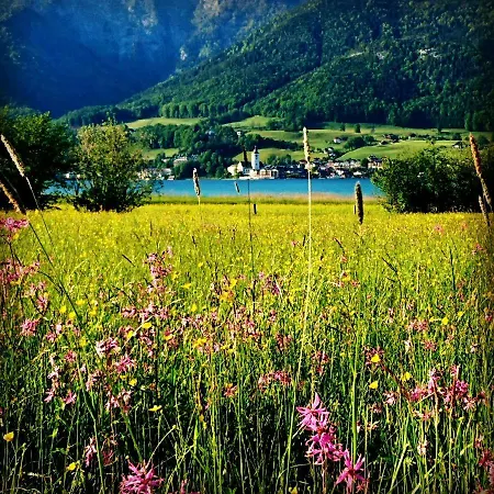 Fumerhof Appartement *