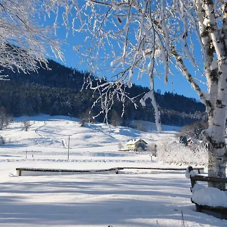 Fumerhof Apartmán *