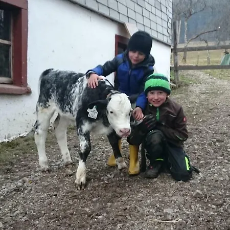 Apartmán Fumerhof *