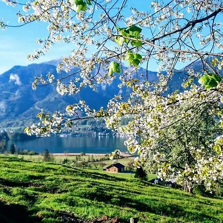 Fumerhof Appartement Strobl