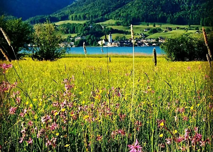 Fumerhof Апартаменты *