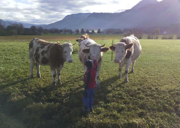 Апартаменты Fumerhof *