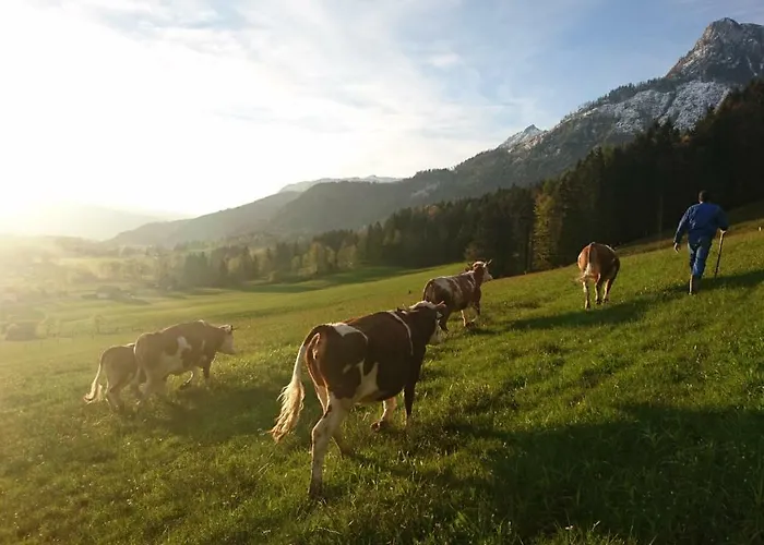 Fumerhof Lejlighed *