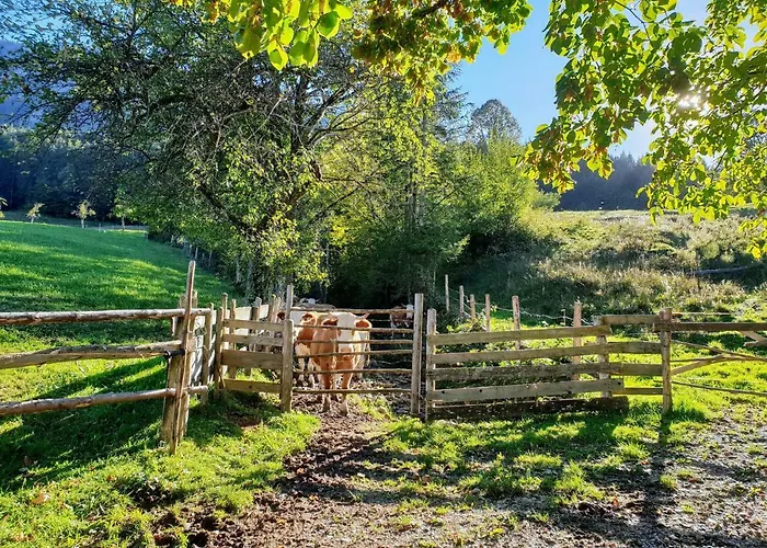 Fumerhof Апартаменты Штробль