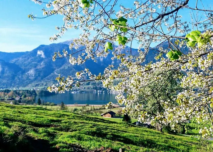 Fumerhof Lejlighed Strobl